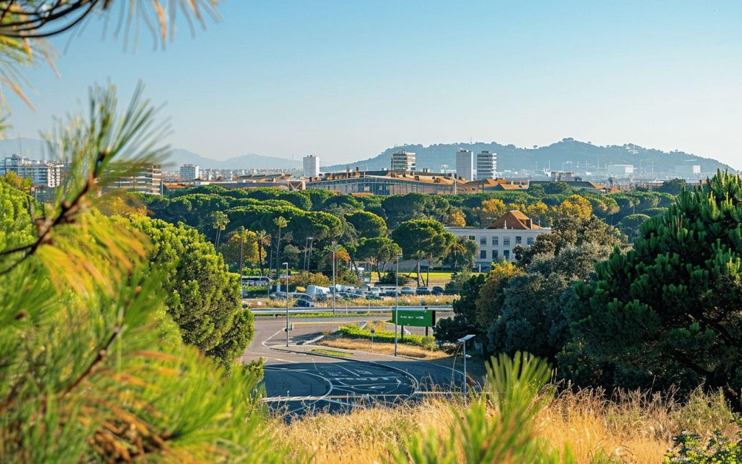 Perpignan : accueil et bienvenue dans la ville rayonnante – Découvrez l&rsquo;université, l&rsquo;aéroport et la culture