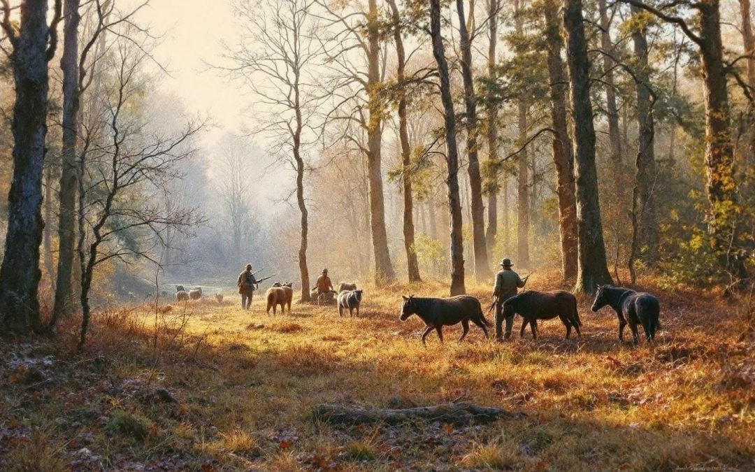 Week-end de chasse en Sologne : prix des séjours pour petit et grand gibier