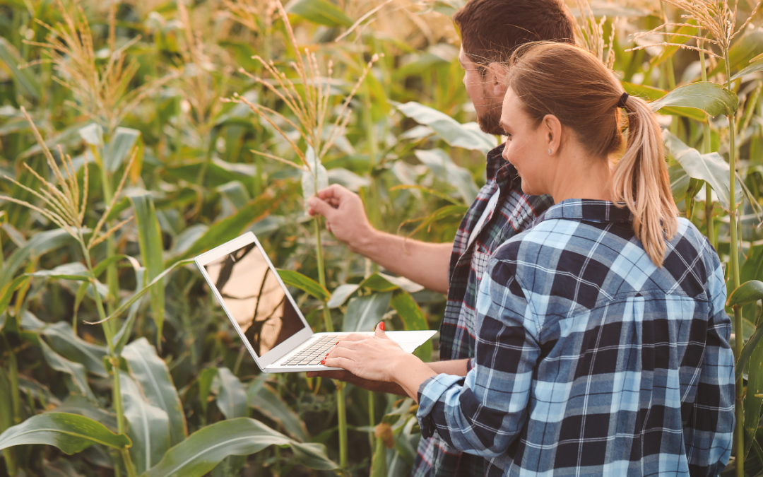 Agritel : le partenaire de référence pour la gestion de vos récoltes agricoles
