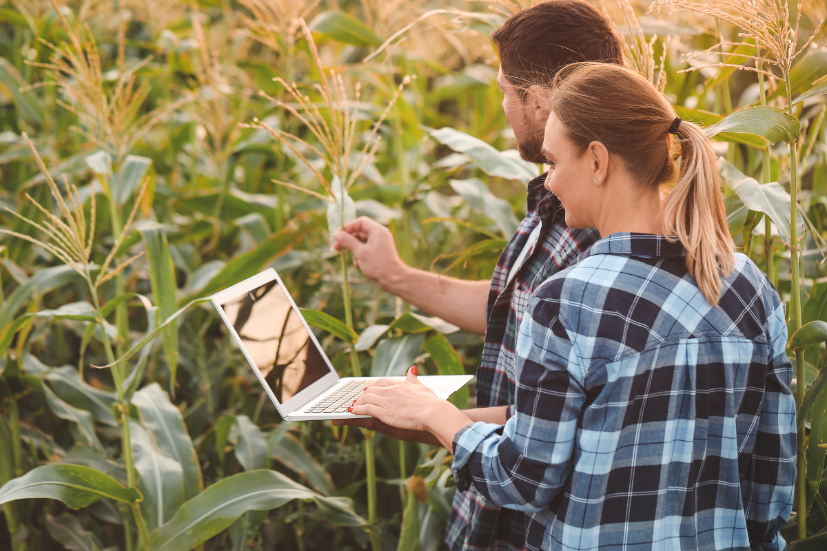 agritel le partenaire de référence pour la gestion de vos récoltes agricoles