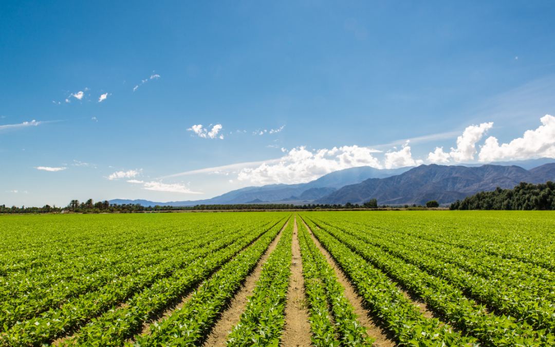 Vente d’exploitation agricole en France : propriétés rurales et biens professionnels à vendre