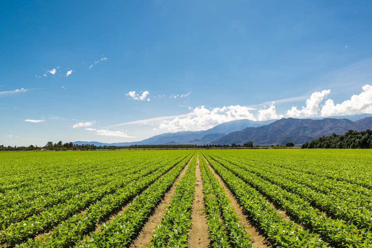 vente d'exploitation agricole en france