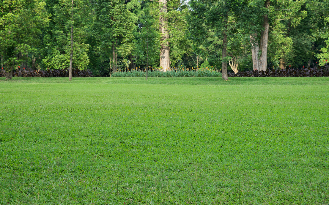 Investir dans un terrain à Majunga : cadre légal, coûts et stratégies 2026