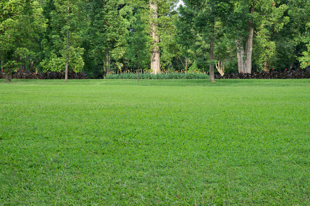 achat terrain majunga achat terrain majunga