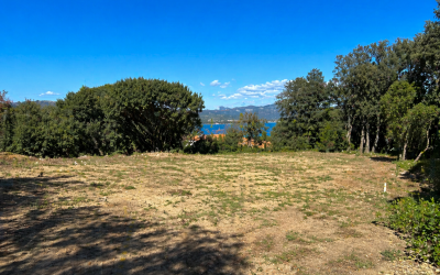 Terrain à vendre à Porto-Vecchio : guide pratique et opportunités d’investissement