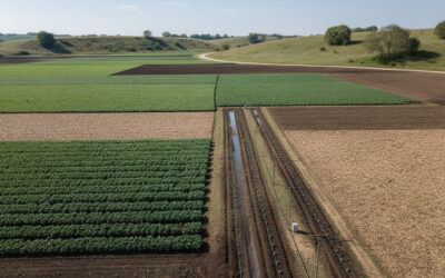 Comment valoriser un terrain agricole efficacement